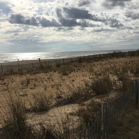 Meet Your Seller ✨ - Picture 5 of 5